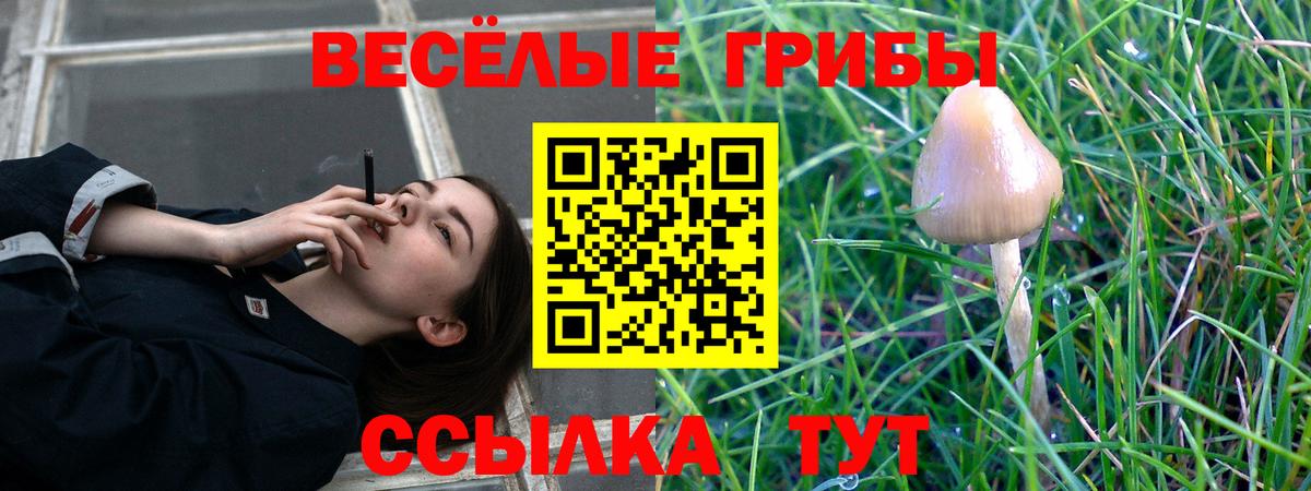 Псилоцибиновые грибы мицелий Сыктывкар